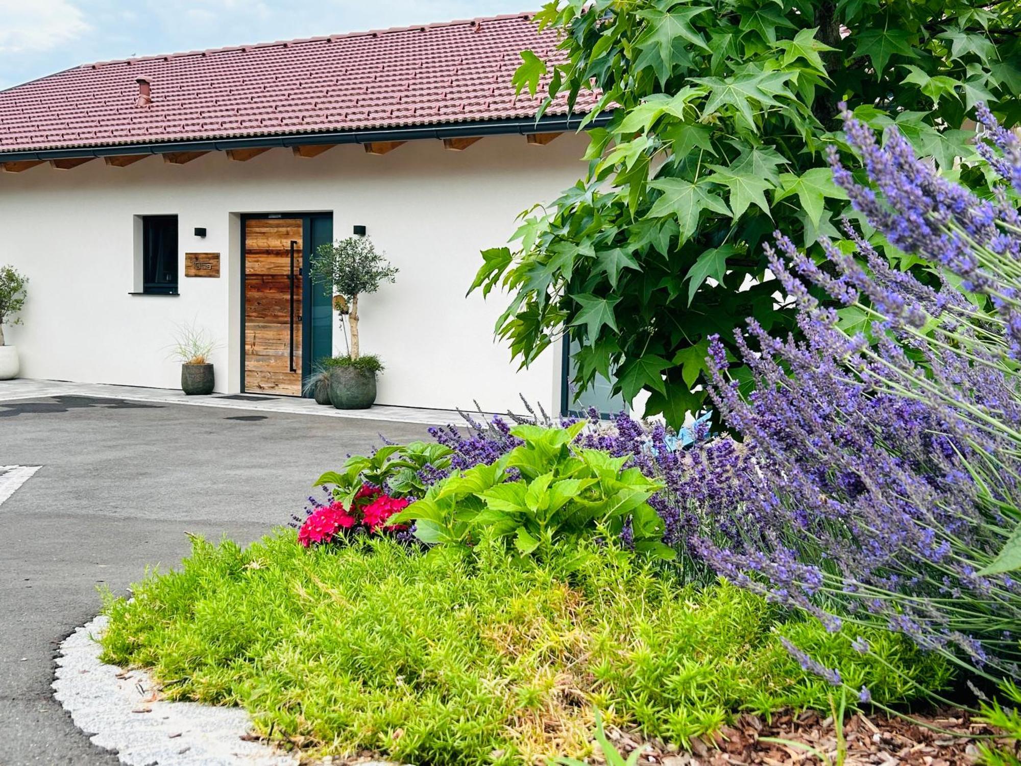 Traumhaus In Den Weinbergen - Max 8 Personen - Mit Self-Check-In Villa Sankt Stefan ob Stainz Exteriör bild